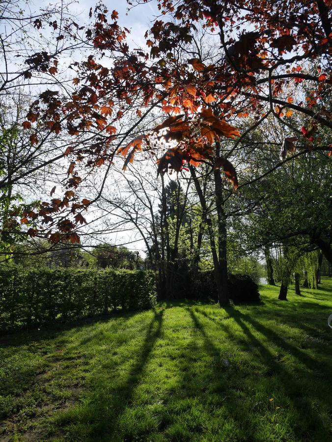 Le Jardin De La Reyssouze Bed & Breakfast Gorrevod Exterior foto